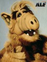 ALF