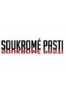 Soukromé pasti