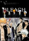 Bleach